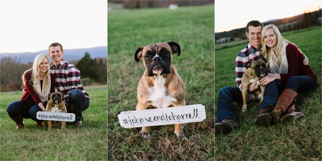 Robert Radifera Photography